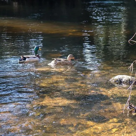 The At Woodenbridge فندق