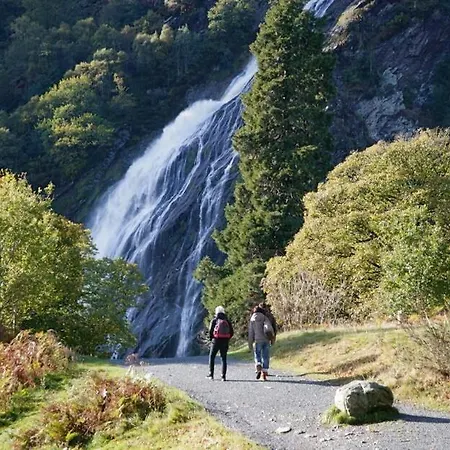 The At Woodenbridge