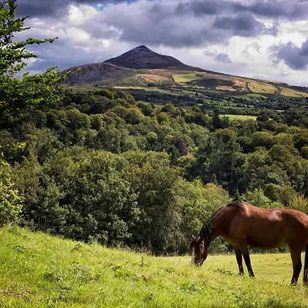 מלון The At Woodenbridge