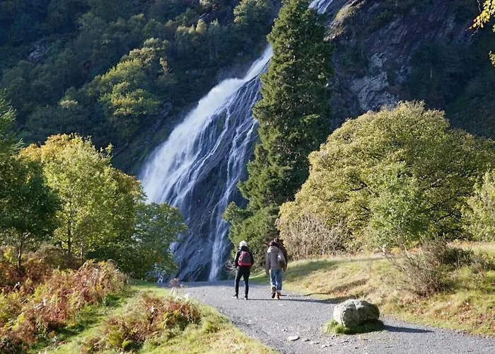 The At Woodenbridge