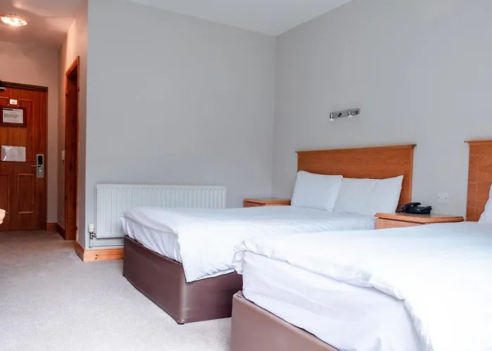 Hotel The At Woodenbridge 3*